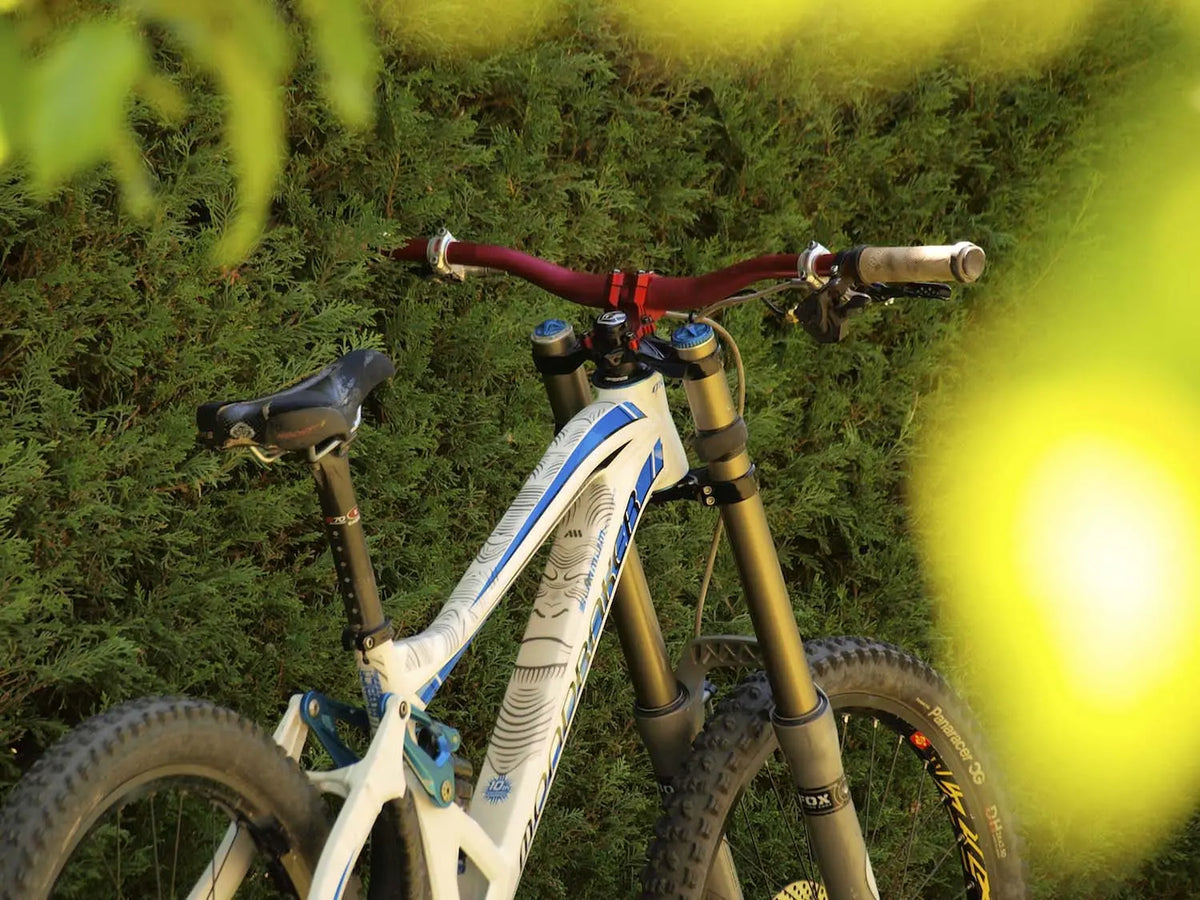 ALL MOUNTAIN STYLE Frame Guard Extra Protection Ape - PE49500358 bild 2 PMIMAGE:77A2D56C94383EA26D74