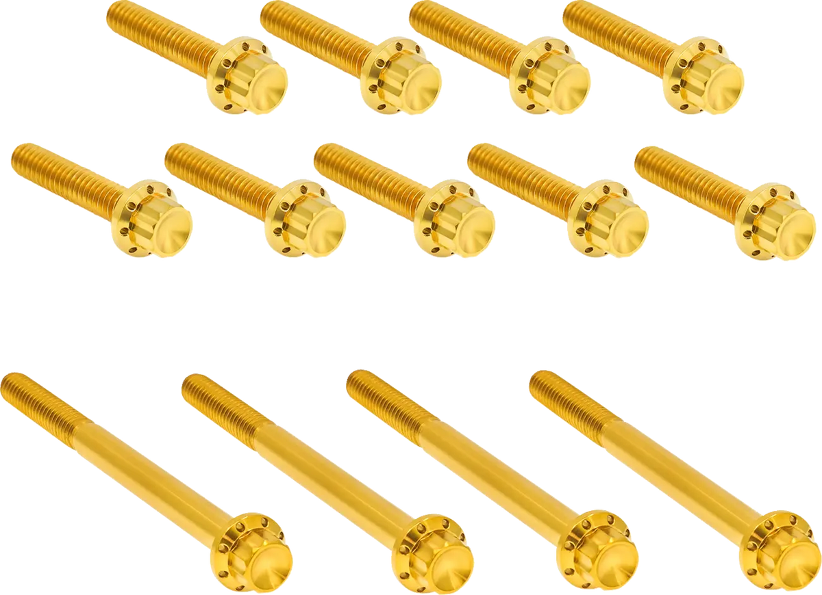 Arlen Ness Outer Primary Cover Titanium 12-Point Bolt Kit Monteringssats fordonsanpassade - PE24011769 bild 1 PMIMAGE:996053CACD93C6E785AA