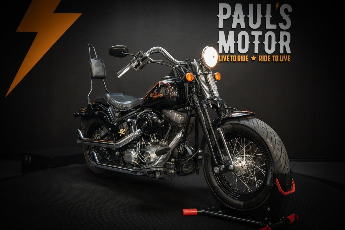 Harley-Davidson Cross Bones (FLSTSB) HUF634 – bild 1