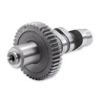 S&S CYCLE Kamaxel till 54-84 Big Twins med ventiljusteringskit - PE09250930 bild 1 PMIMAGE:A31366970CBF98394DD9