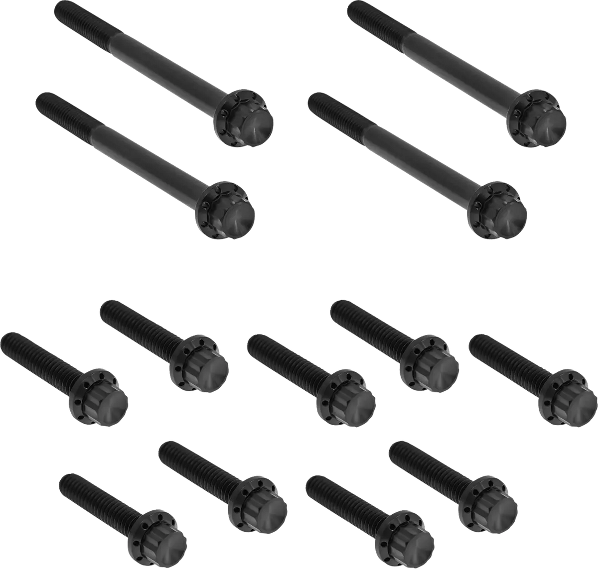 Arlen Ness Outer Primary Cover Titanium 12-Point Bolt Kit Monteringssats fordonsanpassade - PE24011729 bild 1 PMIMAGE:18CD7F51CEB77F45D354