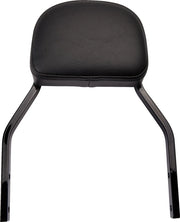 Cobra Detachable Backrest Kit Sissybars - PE15010604 bild 1 PMIMAGE:3EB3021AD848DD033164