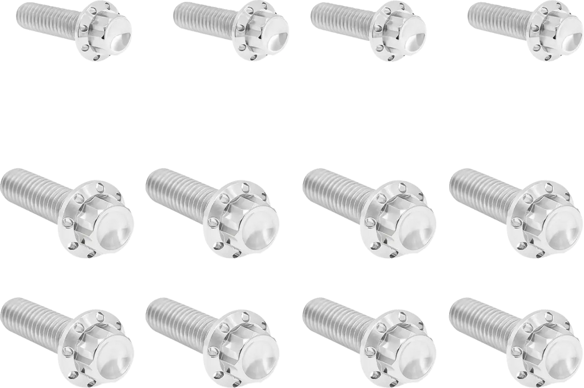 Arlen Ness Transmission Side Cover & Trap Door Titanium 12-Point Bolt Kit Monteringssats fordonsanpassade - PE24011774 bild 1 PMIMAGE:96314CCC28E32255F730