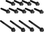 Arlen Ness Outer Primary Cover Titanium 12-Point Bolt Kit Monteringssats fordonsanpassade - PE24011768 bild 1 PMIMAGE:34FA78F9DFE50C7912B4