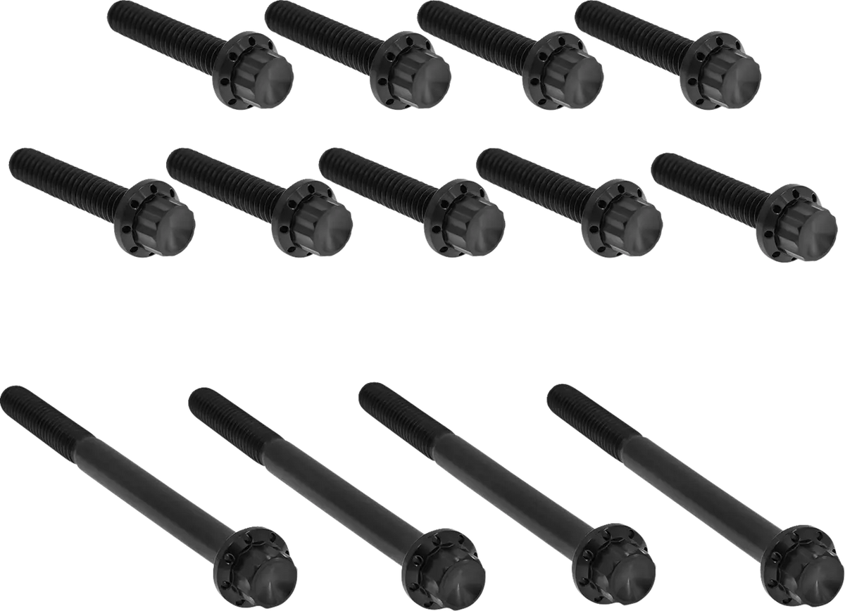 Arlen Ness Outer Primary Cover Titanium 12-Point Bolt Kit Monteringssats fordonsanpassade - PE24011768 bild 1 PMIMAGE:34FA78F9DFE50C7912B4