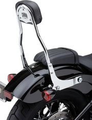 Cobra Detachable Backrest Kit Sissybars - PE15010601 bild 2 PMIMAGE:1E27015930DC581C7F56