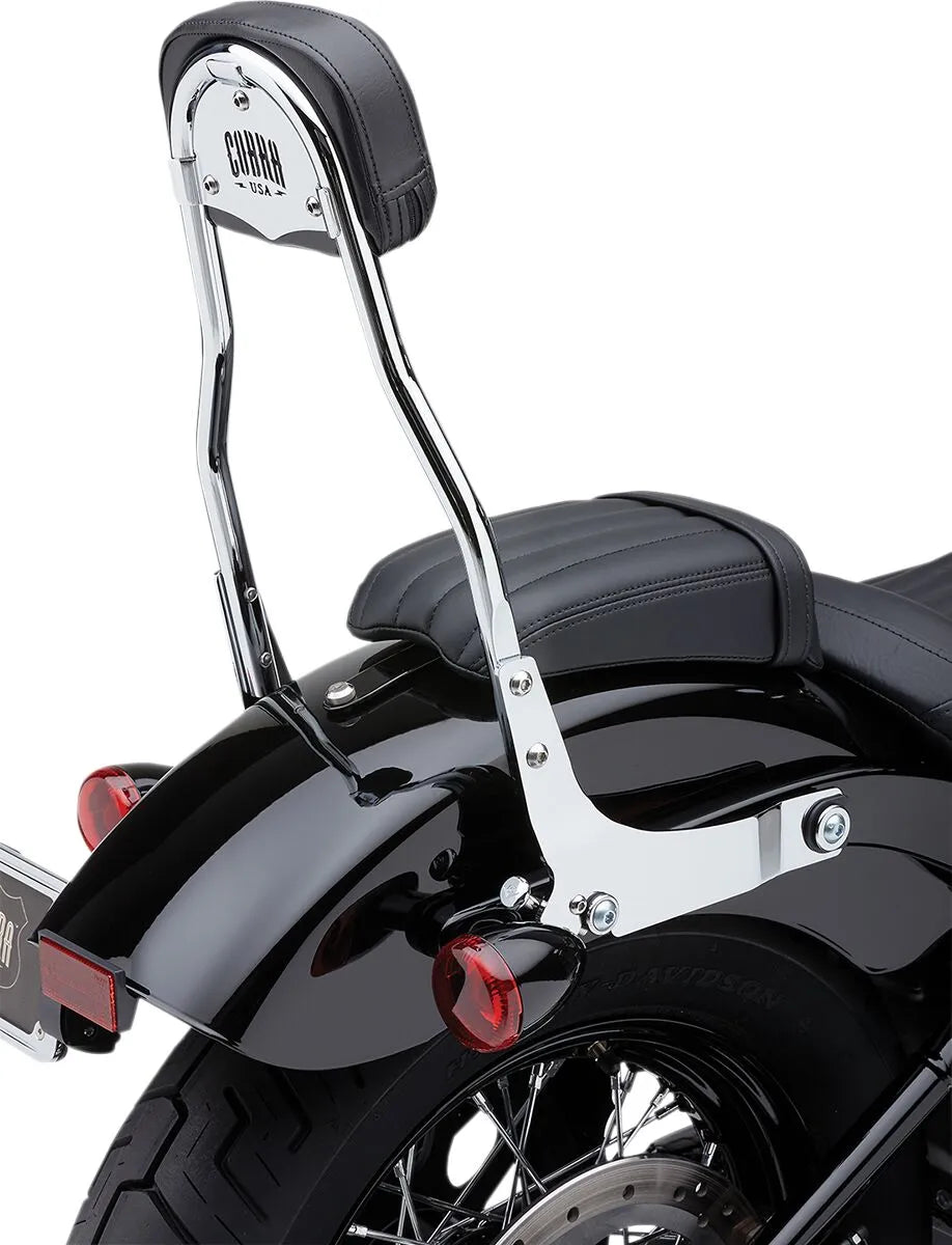 Cobra Detachable Backrest Kit Sissybars - PE15010601 bild 2 PMIMAGE:1E27015930DC581C7F56