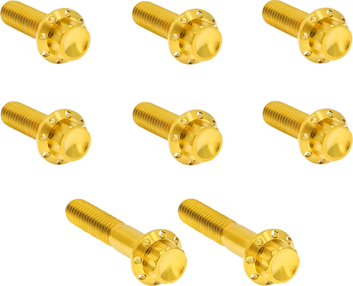 Arlen Ness Transmission Trap Door Titanium 12-Point Bolt Kit Monteringssats fordonsanpassade - PE24011823 bild 1 PMIMAGE:01997FDC2C1732057D2A