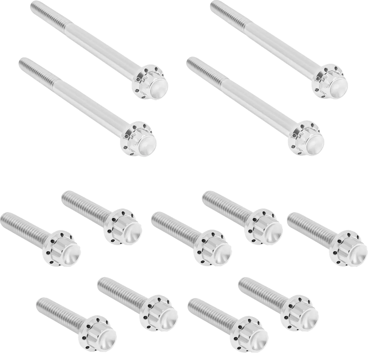 Arlen Ness Outer Primary Cover Titanium 12-Point Bolt Kit Monteringssats fordonsanpassade - PE24011728 bild 1 PMIMAGE:87E6D37A78CDB07E7D4C