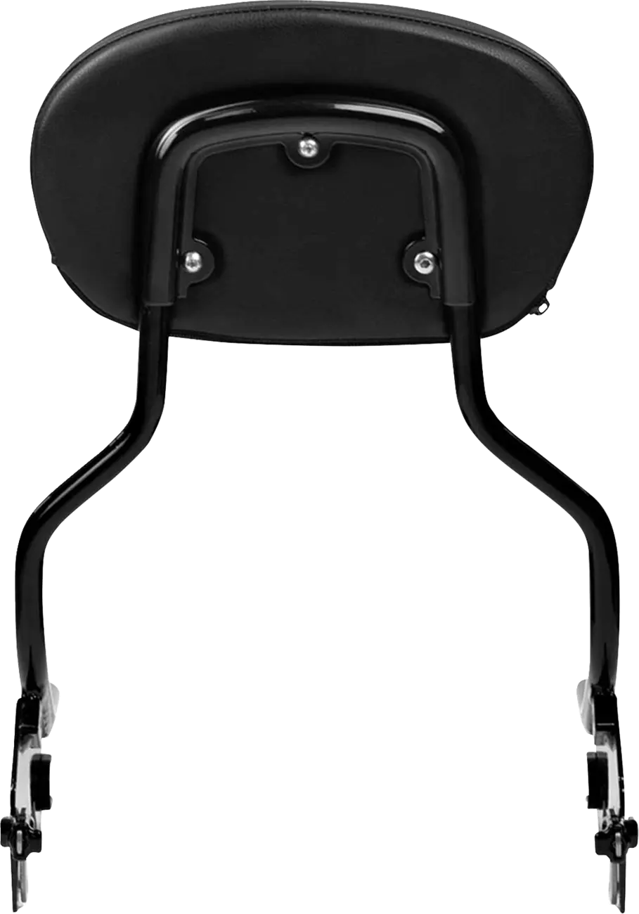 Saddlemen 3-Point Sissy Bar Pad Bracket Ryggstöd för sadlar - PE08220622 bild 3 PMIMAGE:6CCBD1F01162A184DFE0