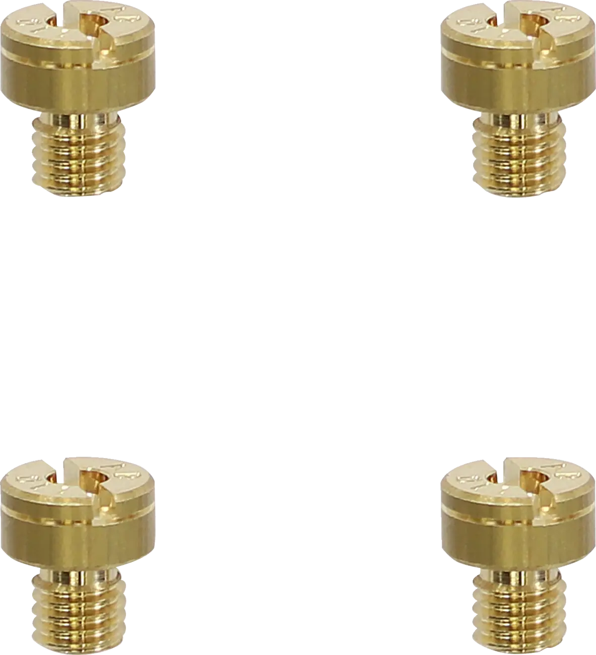 Ebc A-Bax Precision Mikuni-Style Slot Head (SJ Prefix) Main Jets Huvudmunstycken - PE10060054 bild 1 PMIMAGE:F27068D52ECCEE8C7B58