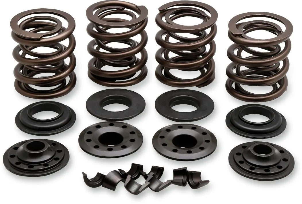 KIBBLEWHITE Ventilfjädersats OEM Replacement - PE09262927 bild 1 PMIMAGE:7844798512BFF2B67F66