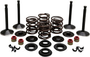 Kibblewhite Engine Valve Kit Ventiler & delar - PE09263314 bild 1 PMIMAGE:EC67B8D366F9B21FB1E5