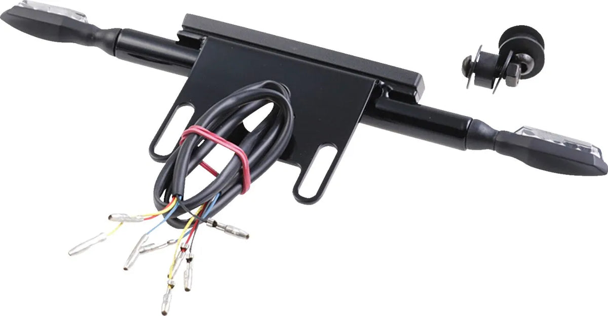 CULT WERK License Plate Kit med LED-belysning - PE20302226 bild 2 PMIMAGE:98E47E191C89E9D68314