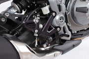 GILLES TOOLING Justerbara Rearset RCT10GT för Kawasaki - PE16230499 bild 2 PMIMAGE:419057BCA5022CDAF636