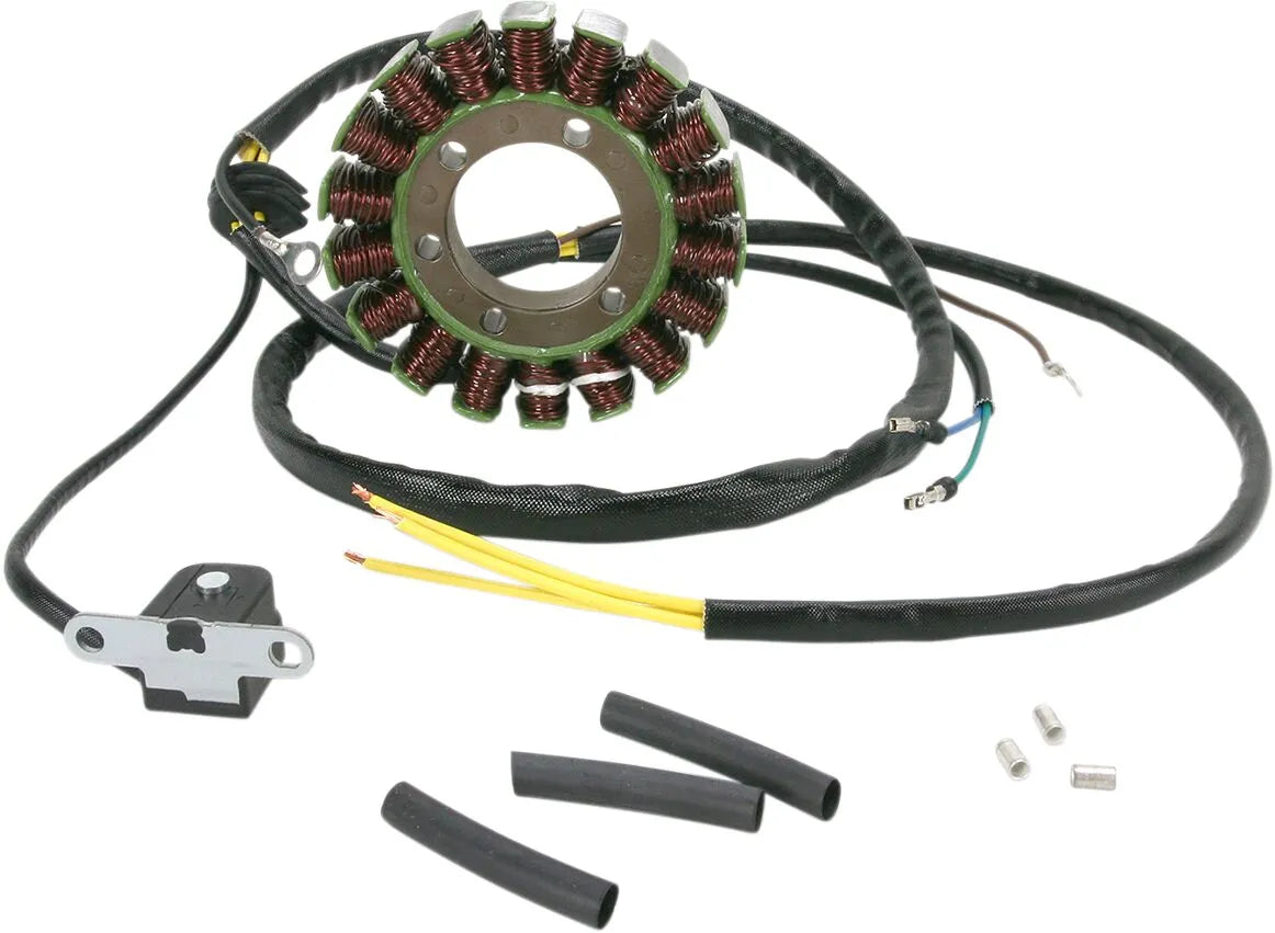 RICK'S MOTORSPORT ELECTRIC Stator Polaris - PE21120649 bild 1 PMIMAGE:B9DDBF00E203DFFC58AA