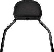Cobra Detachable Backrest Kit Sissybars - PE15010614 bild 1 PMIMAGE:051D772E085432AC65AC