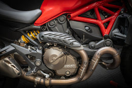 Ducati Monster 821 2016 TEH920 – bild 12