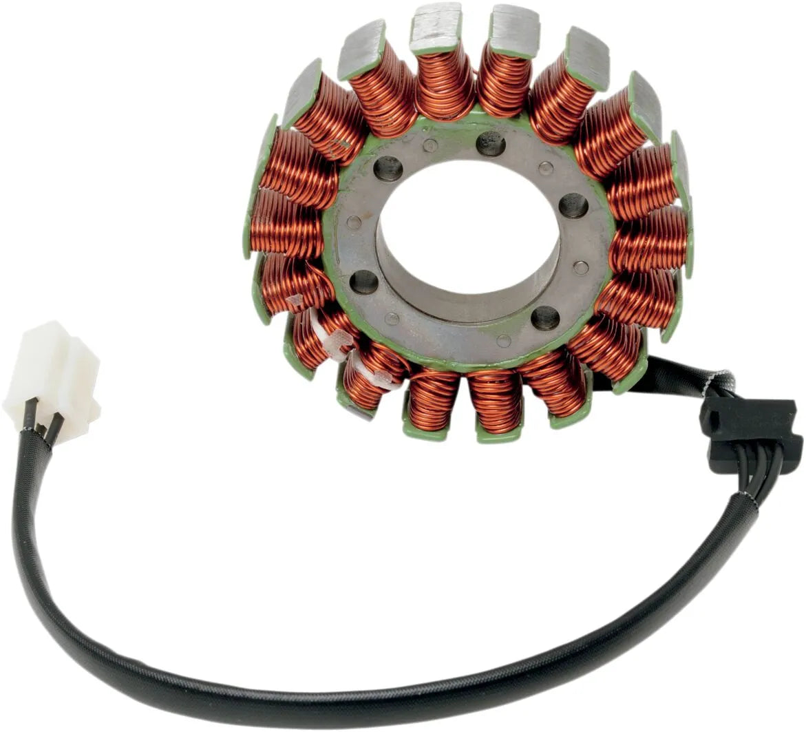 RICK'S MOTORSPORT ELECTRIC Stator för Kawasaki - PE21120588 bild 1 PMIMAGE:F19E611ECE03DA059587