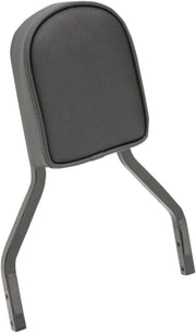 Drag Specialties Seats Smooth Sissy Bar Pad Ryggstöd för sadlar - PE08220297 bild 1 PMIMAGE:FF77330A1F9D49A4E4CE