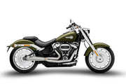 Zard ZARD FULL EXHAUST SYSTEM 2:1 H-D SOFTAILS Kompletta avgassystem Harley - PE18002707 bild 4 PMIMAGE:8F73180E642B1D7948F3