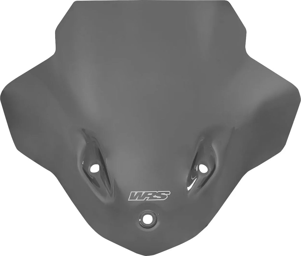 Wrs Windscreen OEM Street - PE23120921 bild 1 PMIMAGE:681FA6F2288259A06A7E