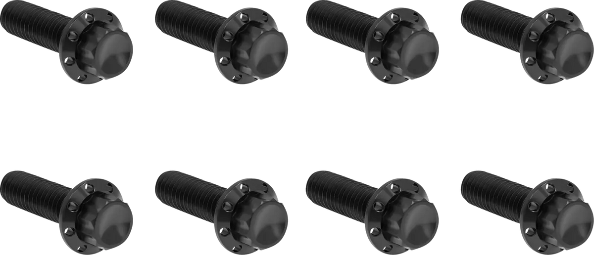 Arlen Ness Transmission Trap Door Titanium 12-Point Bolt Kit Monteringssats fordonsanpassade - PE24011819 bild 1 PMIMAGE:45A4F7B33CDE1EBB7914