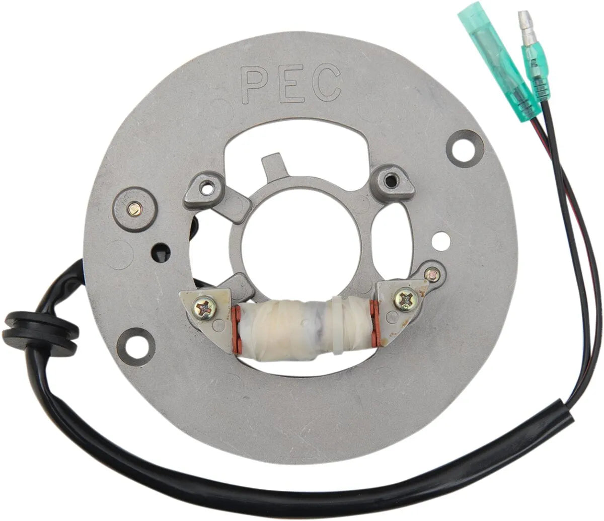 RICK'S MOTORSPORT ELECTRIC Stator Yamaha - PE21120957 bild 1 PMIMAGE:679CDD30B7A18FD7AEC7