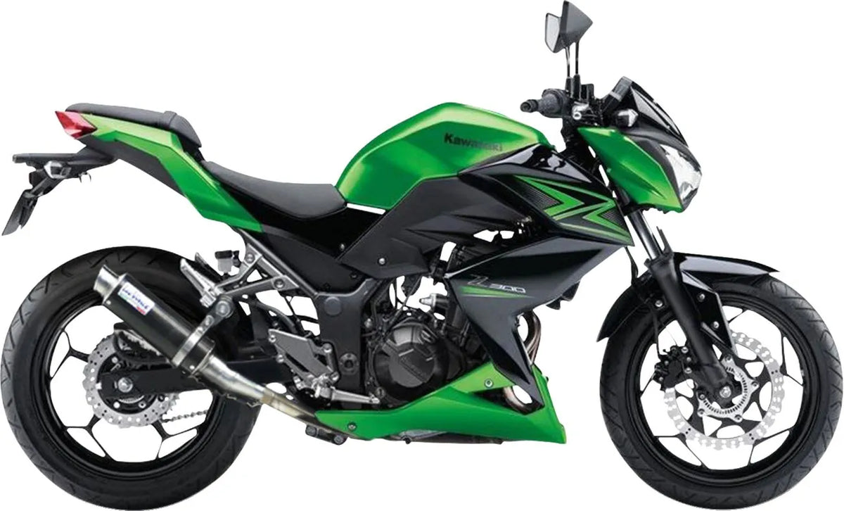 LEOVINCE GP Corsa Slip-On Ljuddämpare för Ninja300R - PE18102268 bild 3 PMIMAGE:71EDC22EAAA81D4108EC