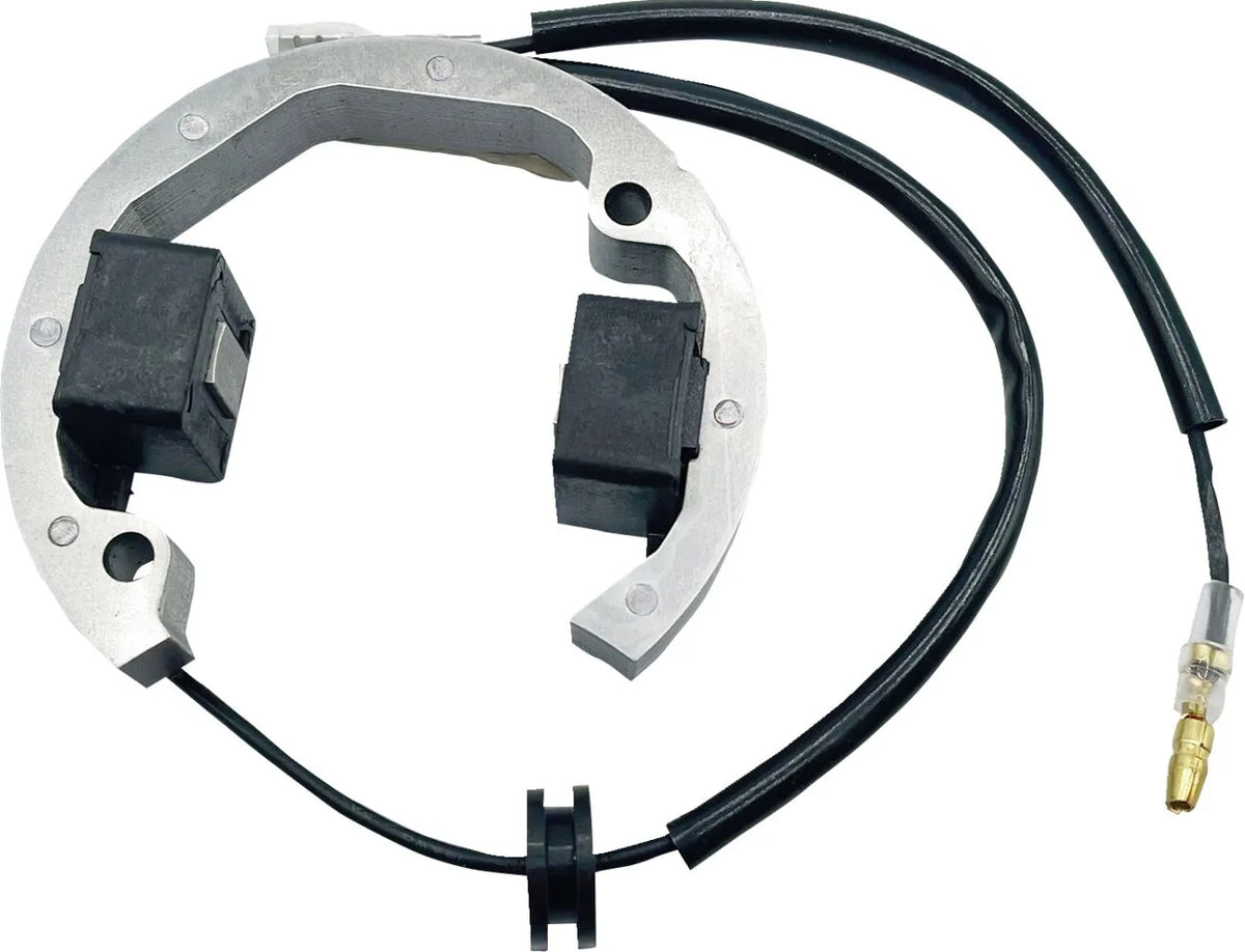 RICK'S MOTORSPORT ELECTRIC Stator för KTM HUS 50 - PE21121732 bild 1 PMIMAGE:6EEC822F011D5D6A6B4F
