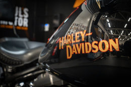 Harley-Davidson Cross Bones (FLSTSB) HUF634 – bild 18