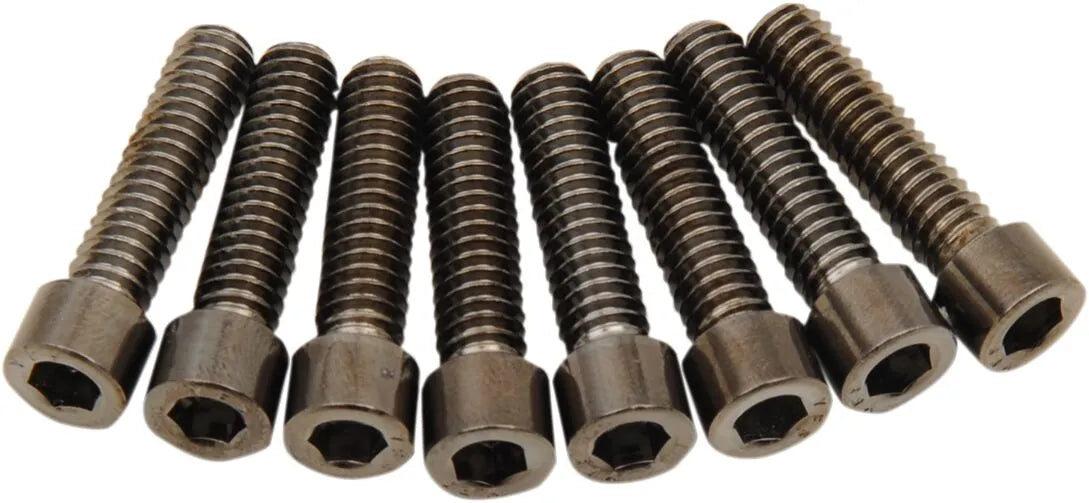 Drag Specialties M-Eight Bolt Kit Monteringssats fordonsanpassade - PE24011020 bild 1 PMIMAGE:71CFB7B39F2EFB88B7C7