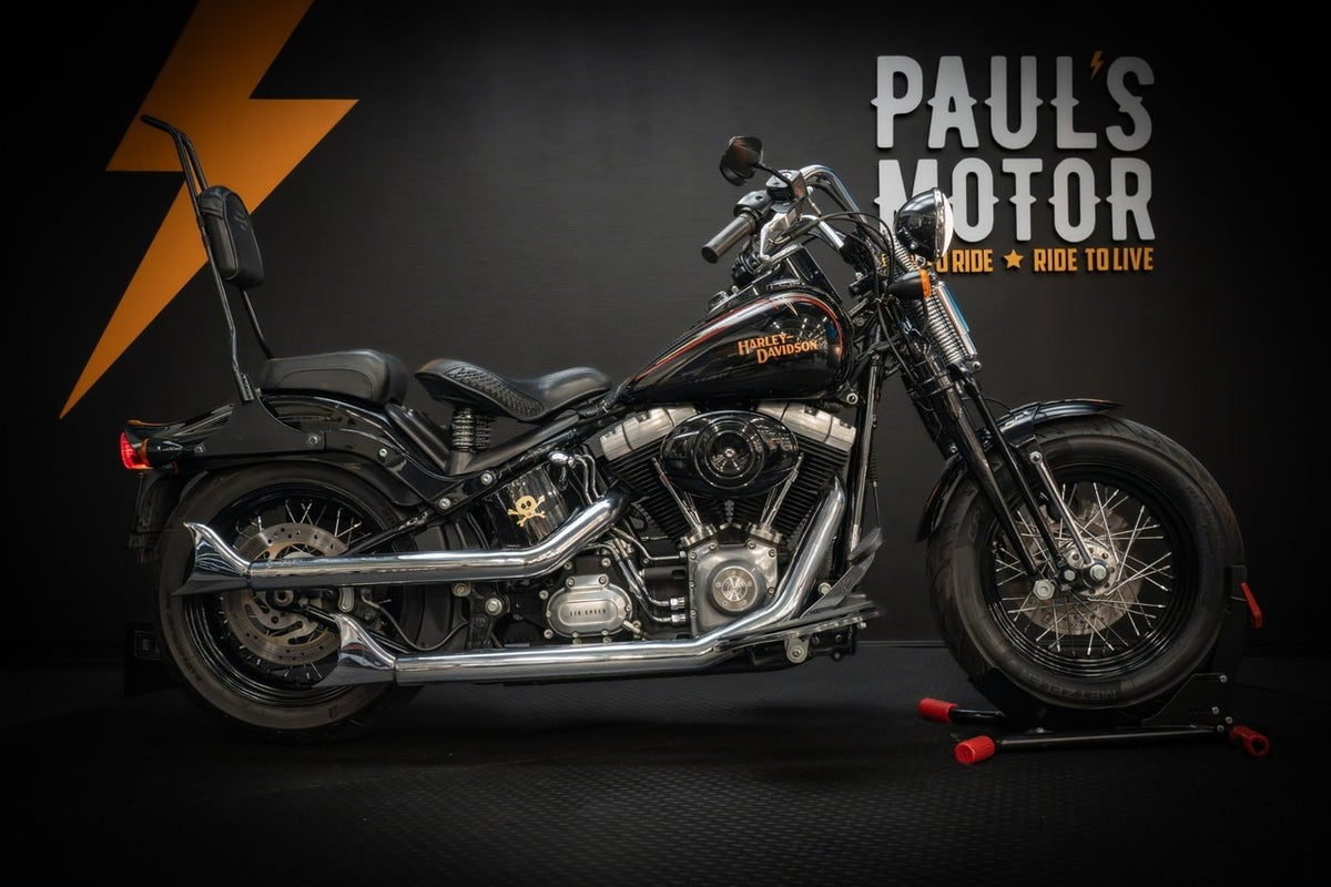 Harley-Davidson Cross Bones (FLSTSB) HUF634 – bild 2