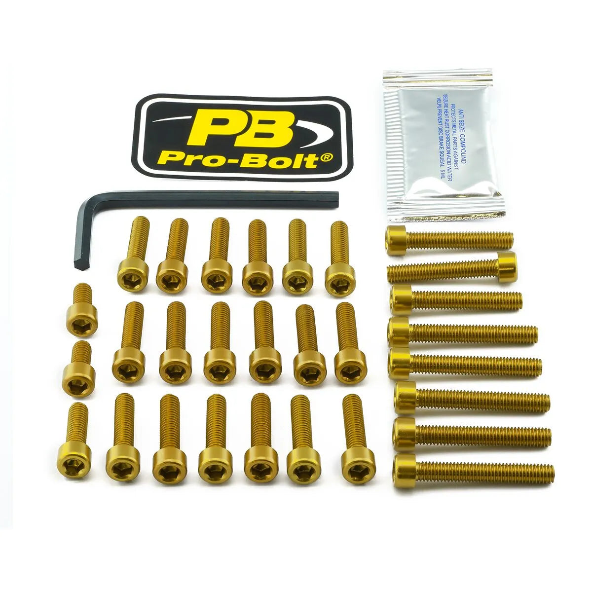 PRO BOLT Bolt Kit för motor, guld EOAP210G - PE24011415 bild 1 PMIMAGE:2F17374C15F4A7E63D34