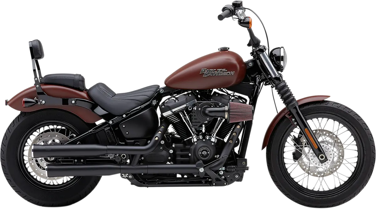 Cobra RPT Slip-On Mufflers Ljuddämpare Harley - PE18011270 bild 2 PMIMAGE:12FB45E003DAC56B6636