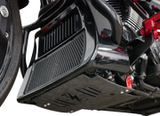 Thrashin Supply Co Forged Carbon Fiber Skid Plate Motorskydd - PE05062533 bild 5 PMIMAGE:0FEBC742D1CFF94AF70C