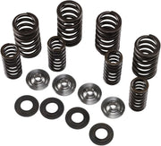 KIBBLEWHITE Ventilfjäder Kit för RMZ250 - PE09261660 bild 1 PMIMAGE:6610DC999FF5A05E3165