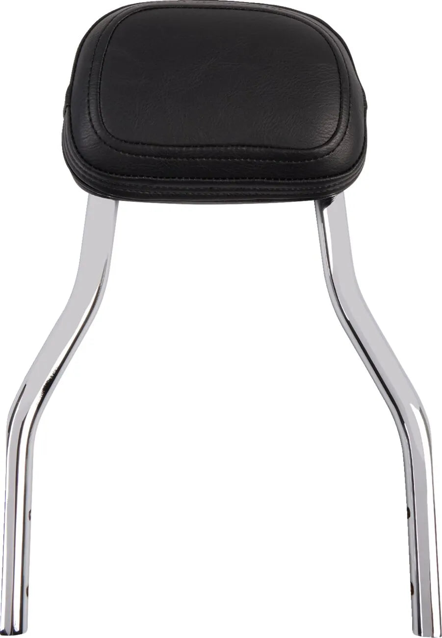 Cobra Detachable Backrest Kit Sissybars - PE15010559 bild 1 PMIMAGE:DF67BCFC83A10D7718E5
