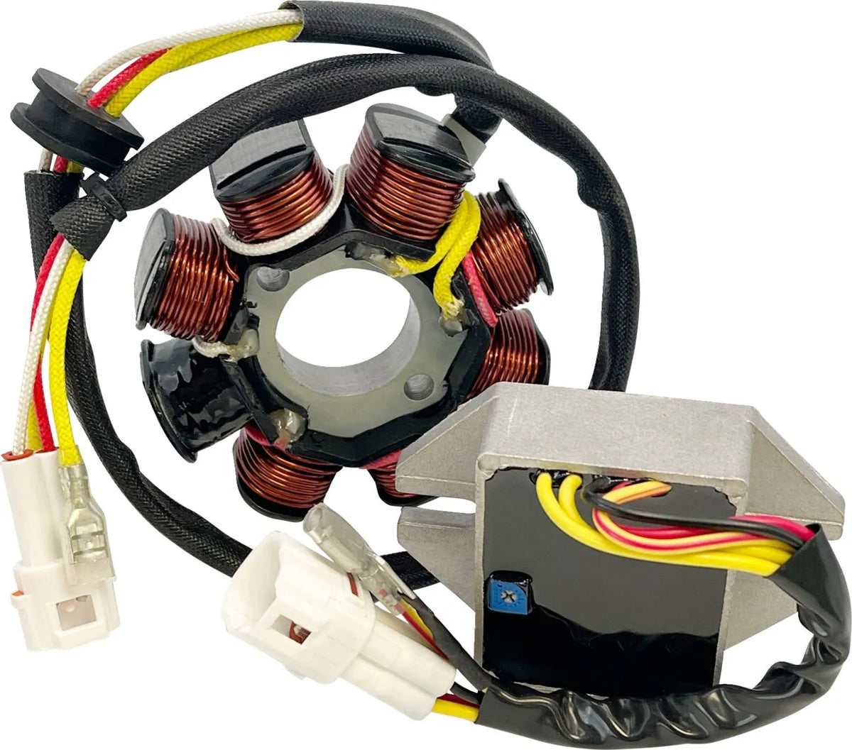 RICK'S MOTORSPORT ELECTRIC Lithium-Ion Kompatibelt Laddningskit - PE21121810 bild 1 PMIMAGE:59AB597D79A6B630548D