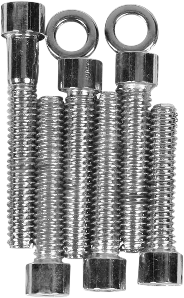 DRAG SPECIALTIES Cam Cover Bolt Kit - PE24010573 bild 3 PMIMAGE:1EC8CA95DADE26502B68