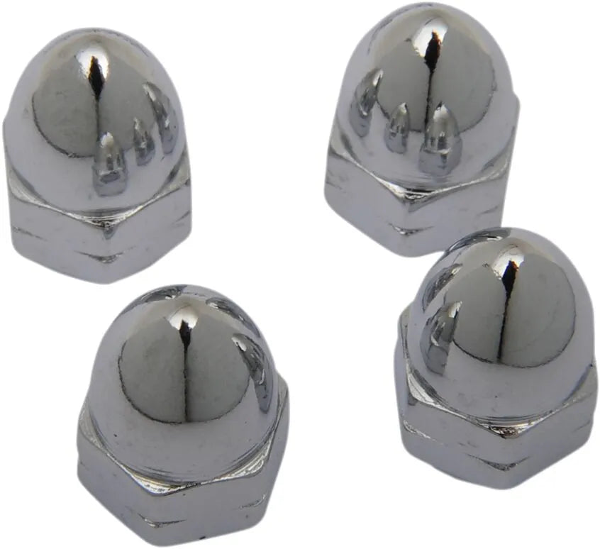 Drag Specialties Chrome Ware Nuts Monteringssats sortiment - PEDS190341 bild 1 PMIMAGE:7995026CC0EAEFE6050E