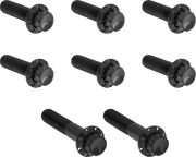 Arlen Ness Transmission Trap Door Titanium 12-Point Bolt Kit Monteringssats fordonsanpassade - PE24011822 bild 1 PMIMAGE:D41586F555A74A85789D