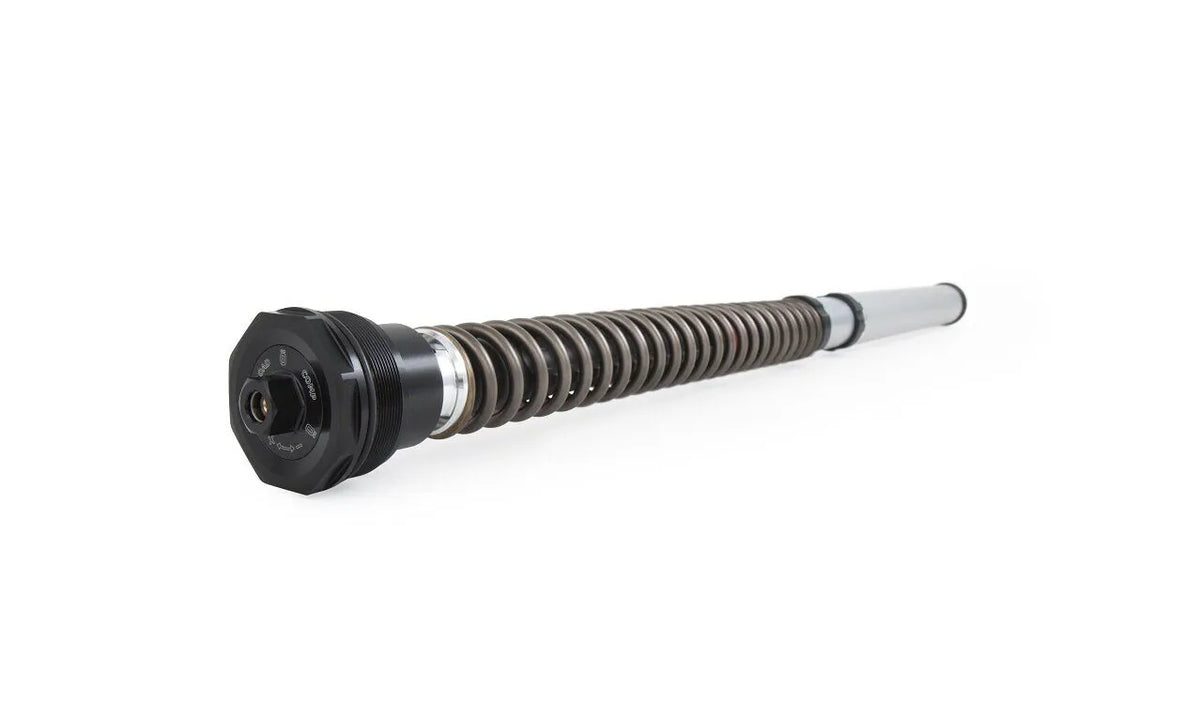 OHLINS Framgaffelfjädrar för FKS Cartridge Kit 7.0N/MM - PE04051253 bild 1 PMIMAGE:1DD50AD0878AD14D64D9