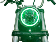 CUSTOM DYNAMICS ProGLOW™ LED Strålkastare med Färgomskiftande Halo - PE20012482 bild 3 PMIMAGE:748E8C2961D3BB80FE24