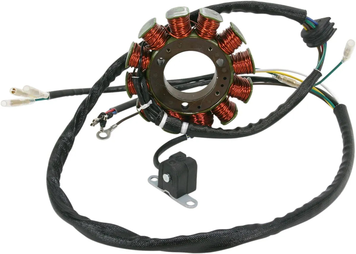 RICK'S MOTORSPORT ELECTRIC Stator Polaris - PE21120648 bild 1 PMIMAGE:B7903579A5CC8C6BD2B4