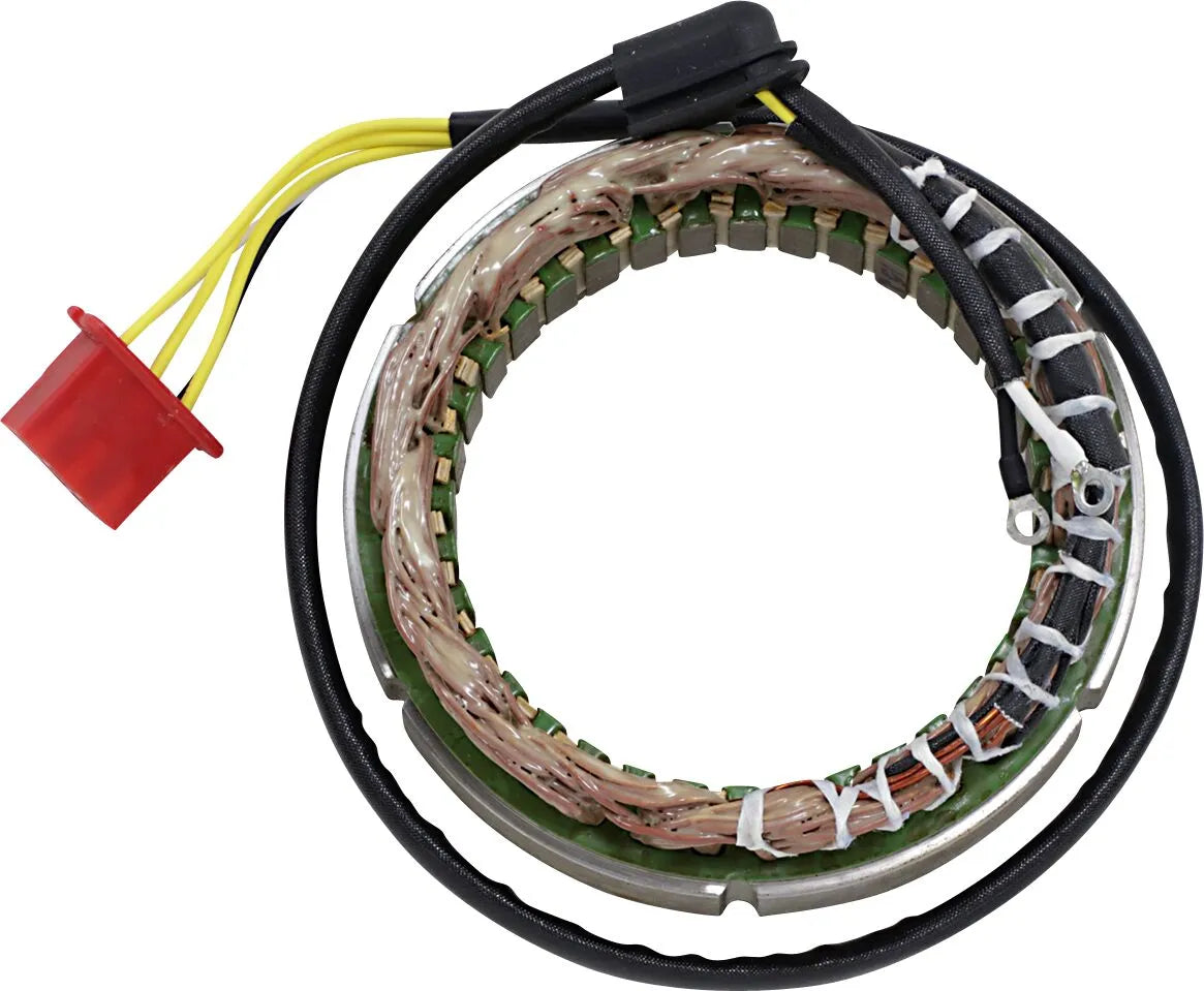 RICK'S MOTORSPORT ELECTRIC OEM-stator för Honda - PE21121381 bild 1 PMIMAGE:1749F7B7A35084E5E2C1