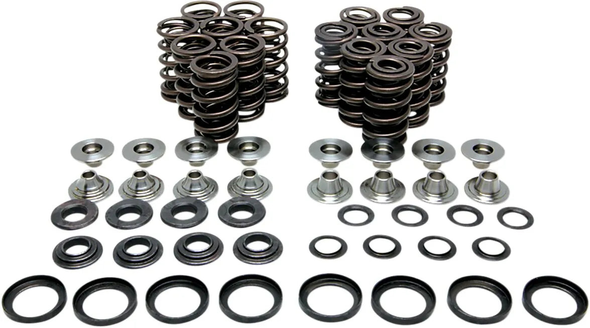 KIBBLEWHITE Valve Spring Kit YZFR1 - PE09263269 bild 1 PMIMAGE:4DD9B7738BED75D1DEC6