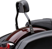 Cobra Detachable Backrest Kit Sissybars - PE15010620 bild 1 PMIMAGE:B57E1DE2DBDE890D2DEA
