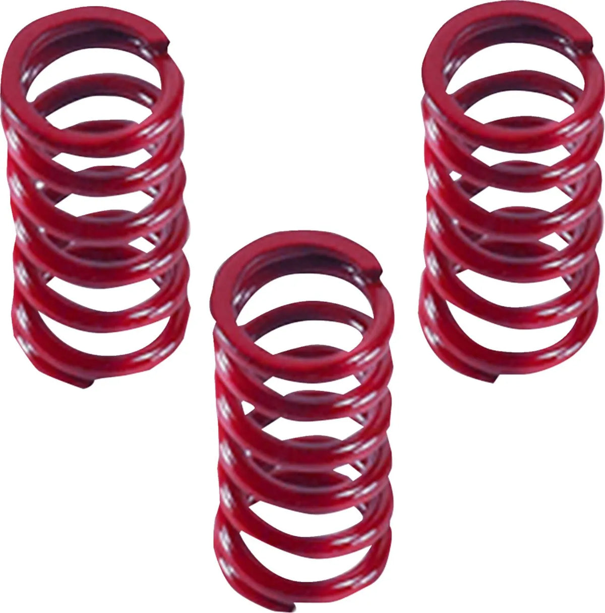 DRAG SPECIALTIES Kopplingsfjädrar 3-pack - PE11313616 bild 1 PMIMAGE:79E94E937FB453377205