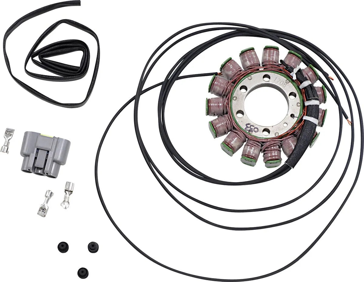 RICK'S MOTORSPORT ELECTRIC OEM Style Stator BMW 21-033 - PE21121295 bild 1 PMIMAGE:C61E37901DF861098CF6